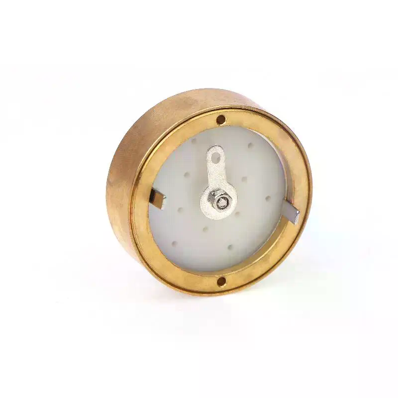 1Pcs Large Diaphragm Cartridge - đánh giá và giá Microphone Capsule
