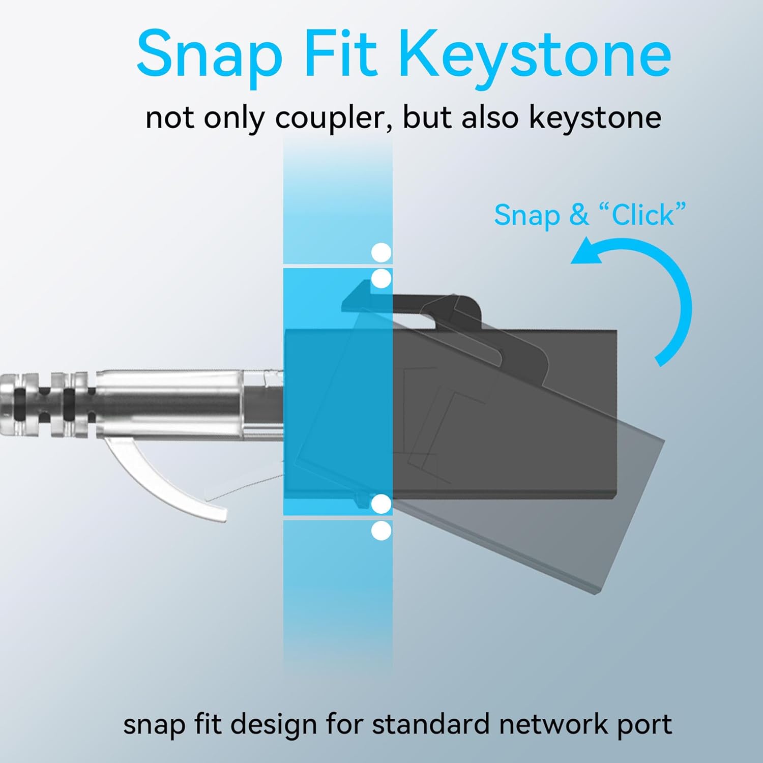 RJ45 Cat6 Keystone Coupler Int - đánh giá và giá Rj45 Jack