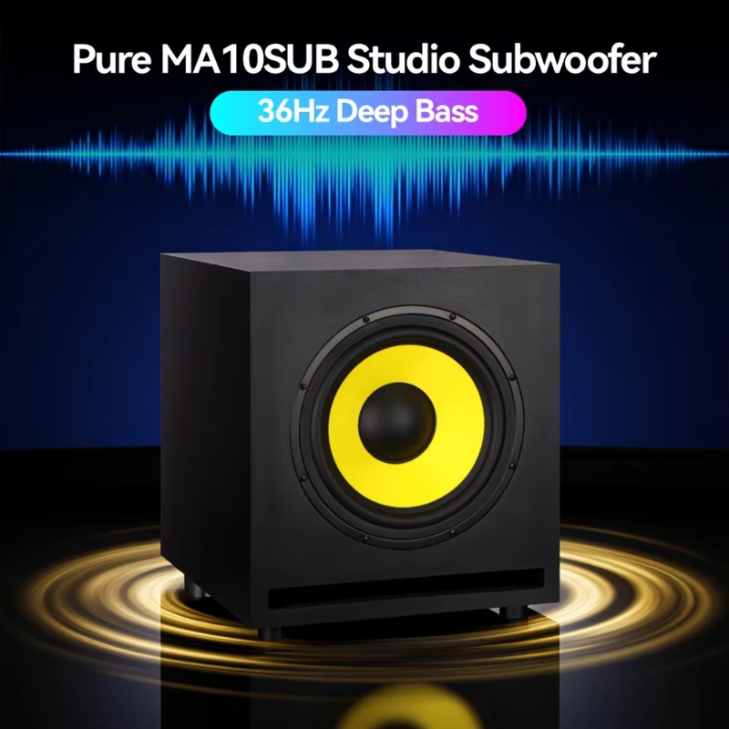 10 Inch Powered Deep Bass Subw - đánh giá và giá Subwoofer