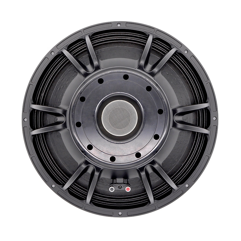 21'' Professional Audio System - đánh giá và giá Subwoofer