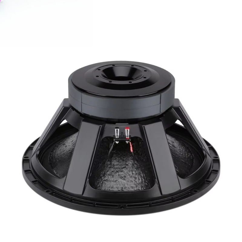 21 Inch Big Magnet High Power  - đánh giá và giá Subwoofer