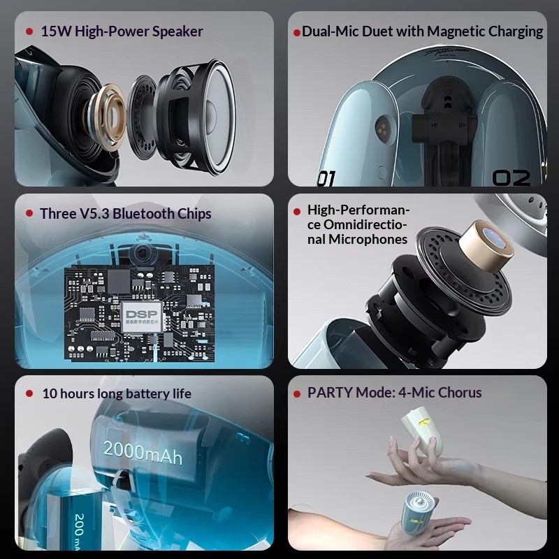SONGX Audio Dual Microphone Du - đánh giá và giá Full Range Speaker